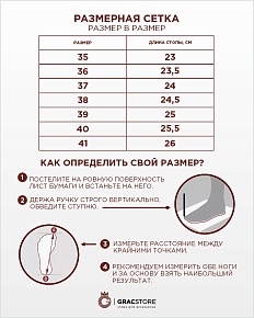  ,  N81116-2-Z21R,  ,  .
